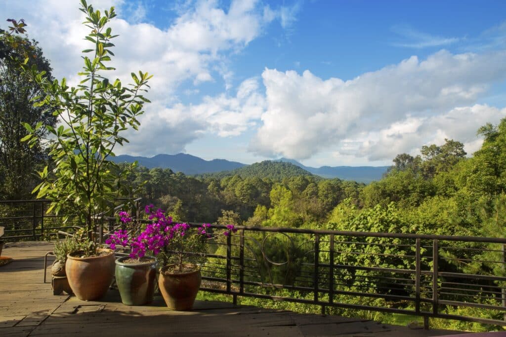 View of lush green mountains and a blue sky with white clouds, seen from an outdoor deck with potted plants at Ah0 Art Villa & in Loma De Rodriguez, Cerro Colorado.