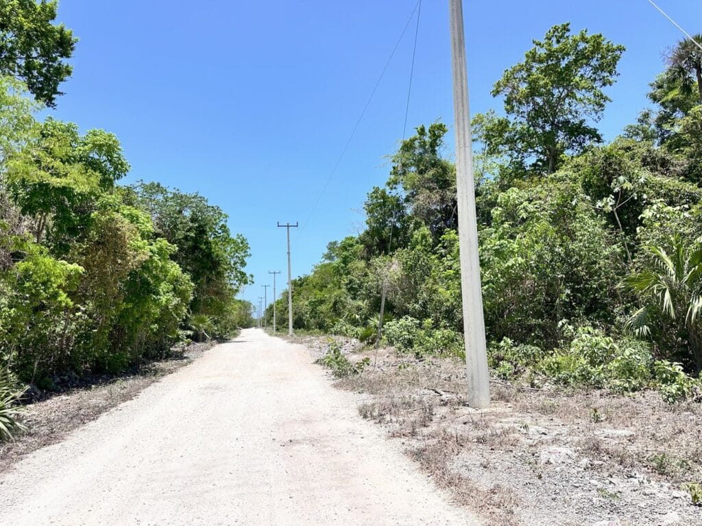 A dirt road lined with trees and electrical poles in Xpu Ha, Puerto Aventuras, with clear blue skies overhead.