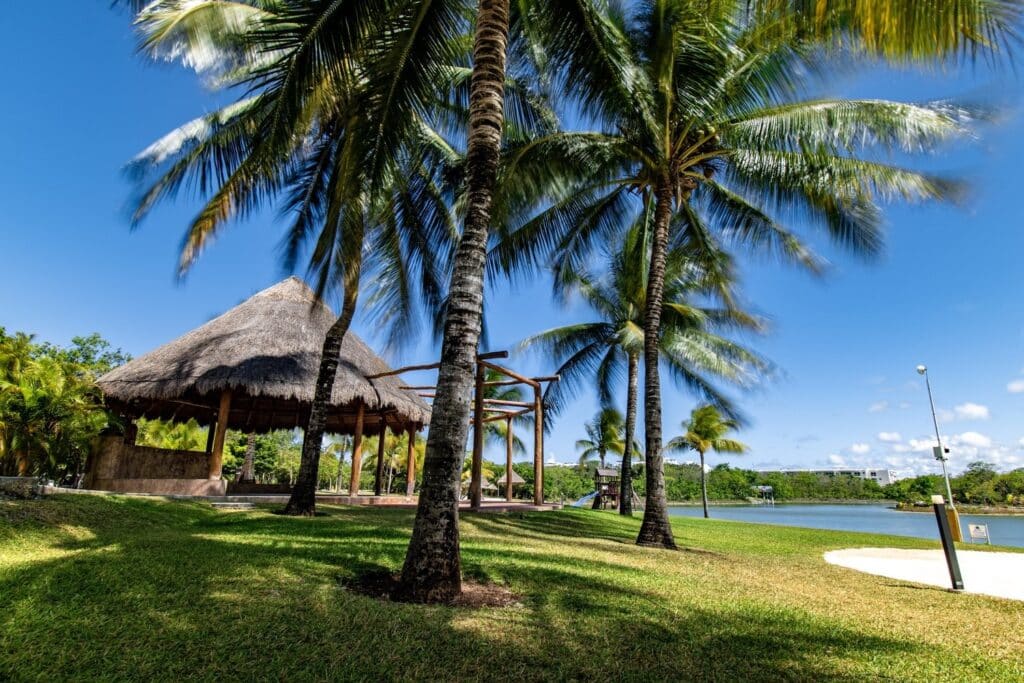 A view of Lagos Del Sol in Cancun featuring tall palm trees, a thatched gazebo, a grassy area, and a waterway in the background under a clear blue sky.