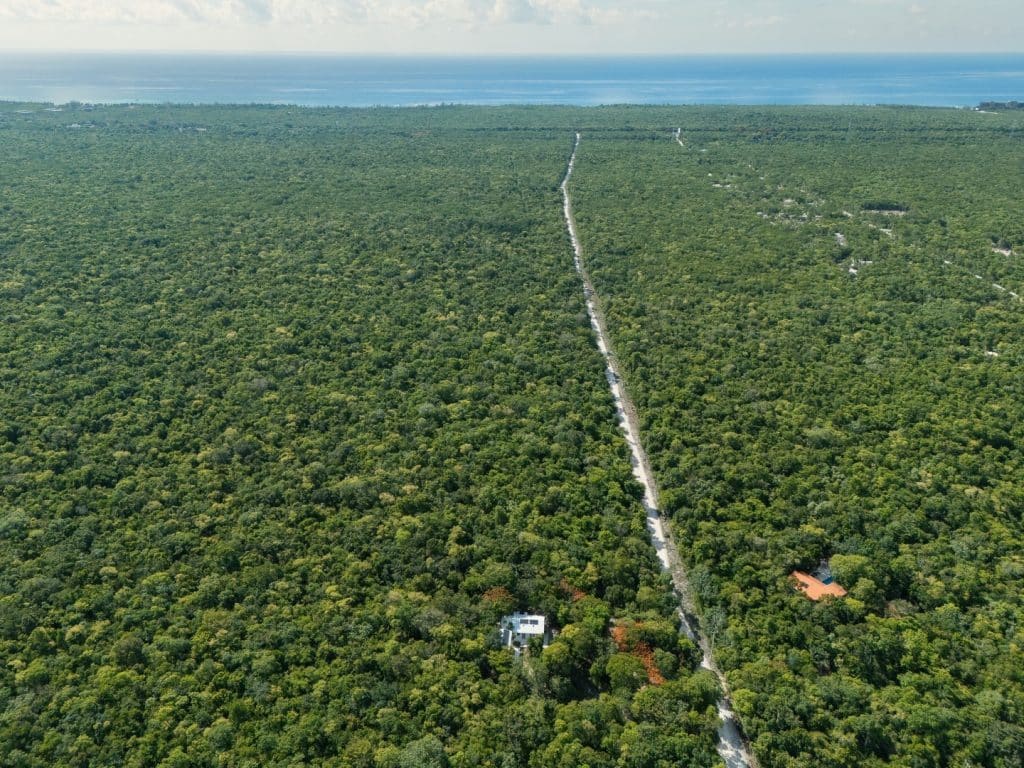An aerial view of Crowes Jungle Ranch in Xpu Ha, within Jungle Homes on 2.5 Acres, showcasing dense jungle with a long, straight driveway leading to a white building near the coast in Puerto Aventuras.
