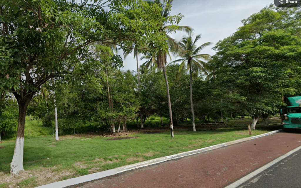 Land in Colibri Land, Acapulco, with lush trees and a paved road alongside