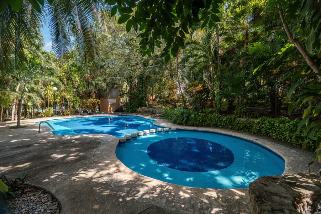 A swimming pool surrounded by lush tropical trees and greenery at Casa Marita in Playacar Phase 2, Playa del Carmen.