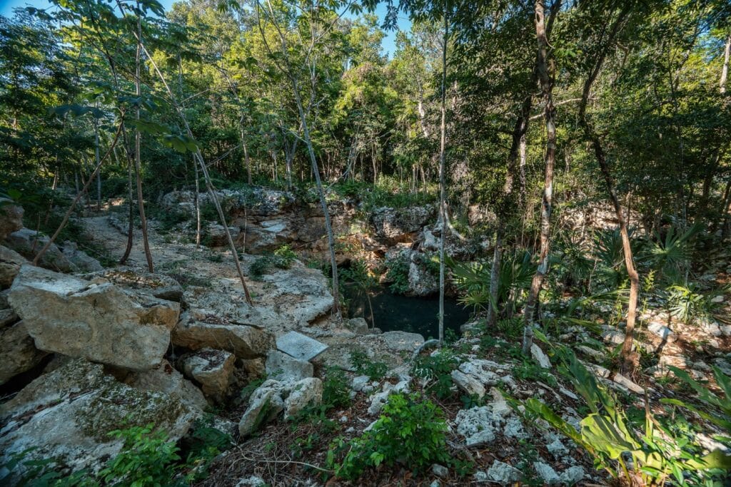 A lush wooded area in Akumal’s Rancho San Martin features three cenotes and a guest house on one hectare of land, with rocky formations, dense trees, and clear water.