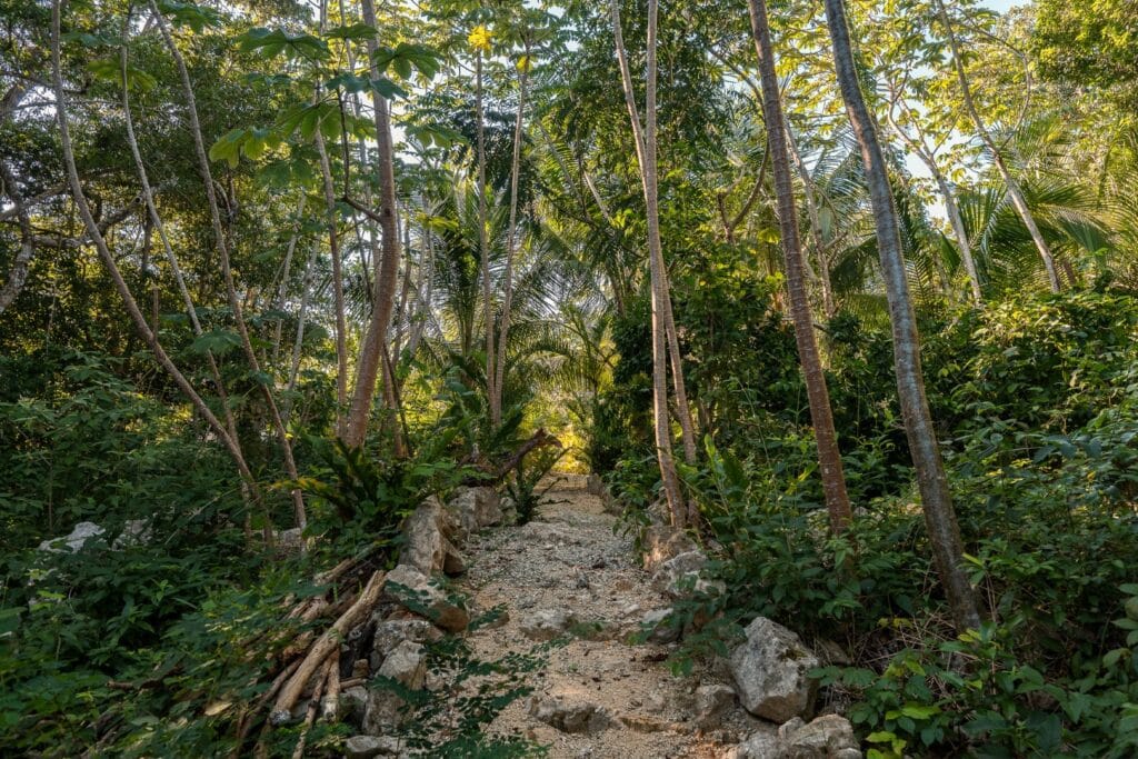 A dirt path winds through lush jungle around Santuario in Rancho San Martin near Akumal, featuring tall trees, dense foliage, and natural stone accents.