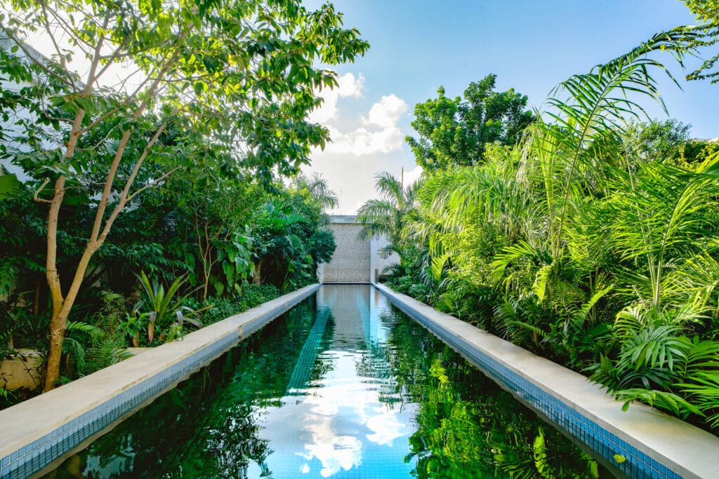 A narrow reflecting pool surrounded by lush tropical plants runs through the greenery of El Pueblo Merida in Centro Merida, with a bright blue sky overhead.