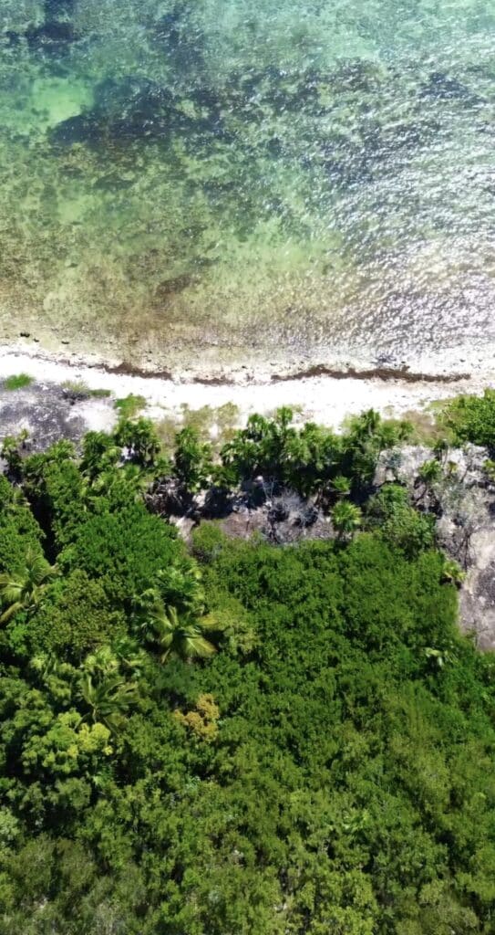 An aerial view of a beachfront lot in Tankah Bay Tulum Beachfront, showing lush green vegetation and a narrow sandy shoreline along the clear turquoise waters.