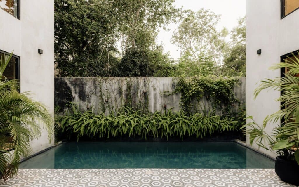 Pool area with lush green plants and a concrete wall, surrounded by trees at property at Villa Asha in Aldea Zama, Tulum.