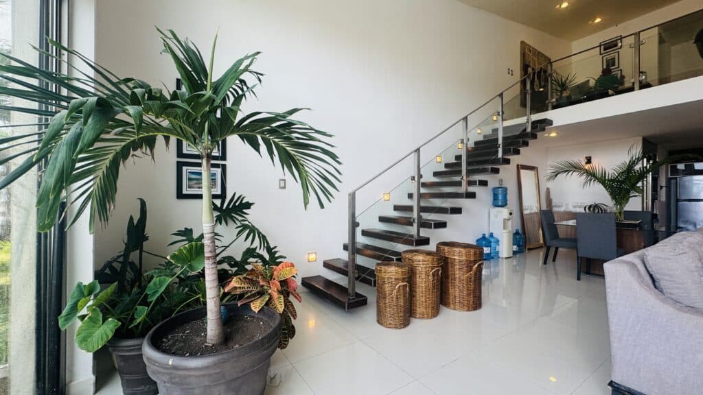 Interior view of a modern living space with a large potted plant, wooden staircase, and dining area at Marina Front, Puerto Aventuras at Regatta 4 4-Bedroom Penthouse.