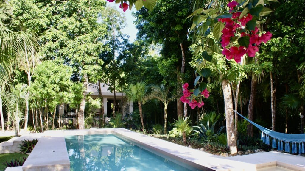 A backyard with a swimming pool surrounded by lush green trees and pink flowering plants in a tropical setting at Hacienda MVO in Akumal.
